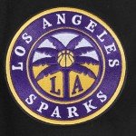 Pro Standard MENS WNBA LOS ANGELES SPARKS CLASSIC CHENILLE PULL OVER HOODIE BLACK M