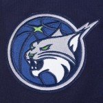 Pro Standard MENS WNBA MINNESOTA LYNX CLASSIC CHENILLE PULL OVER HOODIE MIDNIGHT NAVY L