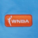 Pro Standard Mens WNBA Chicago Sky Classic Chenille Short Sleeve Tee University Blue L
