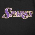Pro Standard Mens WNBA Los Angeles Sparks Classic Chenille Short Sleeve Tee Black L