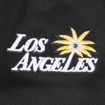 Pro Standard MENS WNBA LOS ANGELES SPARKS CLASSIC CHENILLE PULL OVER HOODIE BLACK L
