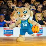 Bleacher Creatures Minnesota Lynx Prowl 10" Mascot Plush Figure - A Mascot for Play or Display