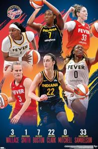 Trends International WNBA Indiana Fever -Team 24 Wall Poster, 34L x 22.4W, Premium Unframed Version