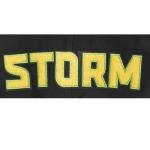 Pro Standard MENS WNBA SEATTLE STORM CLASSIC CHENILLE PULL OVER HOODIE BLACK XL