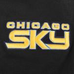 Pro Standard MENS WNBA CHICAGO SKY CLASSIC CHENILLE PULL OVER HOODIE BLACK L