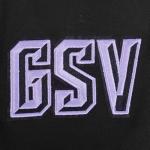 Pro Standard MENS WNBA Golden State Valkyries CLASSIC CHENILLE PULL OVER HOODIE BLACK L