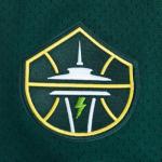 Pro Standard Mens WNBA Seattle Storm Mesh Button Down Mesh Top Forest Green L