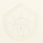 Pro Standard WOMENS WNBA SEATTLE STORM NEUTRAL CROPPED PULLOVER HOODIE EGGSHELL S