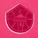 Pro Standard BIG GIRLS WNBA SEATTLE STORM CLASSIC TRIPLE PINK PULL OVER HOODIE BEETROOT PURPLE L