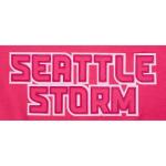 Pro Standard BIG GIRLS WNBA SEATTLE STORM CLASSIC TRIPLE PINK PULL OVER HOODIE BEETROOT PURPLE L