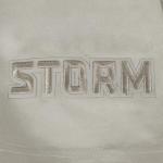 Pro Standard Mens WNBA Seattle Storm Neutral Short Sleeve Tee Taupe 2XL