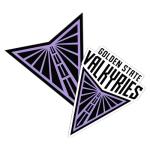 Desert Cactus Golden State Valkyries Sticker WNBA Women's National Basketball Association Officially Licensed Vinyl Decal Laptop Water Bottle Car Scrapbook (4 Inch)