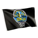 Desert Cactus Chicago Sky Flag Team WNBA 100% Polyester Indoor Outdoor 3x5 feet Flag (Black)