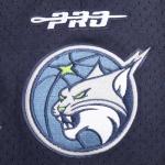 Pro Standard Mens WNBA Minnesota Lynx MESH MESH Short Midnight Navy L