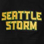 Pro Standard Mens WNBA Seattle Storm Classic Chenille Short Sleeve Tee Black L