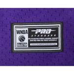 Pro Standard Big Boys WNBA Los Angeles Sparks MESH Button Down MESH TOP Purple/Yellow L