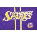 Pro Standard Big Boys WNBA Los Angeles Sparks MESH Button Down MESH TOP Purple/Yellow L