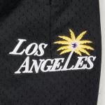 Pro Standard Mens WNBA Los Angeles Sparks MESH MESH Short Black M