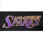 Pro Standard Mens WNBA Los Angeles Sparks MESH MESH Short Black M