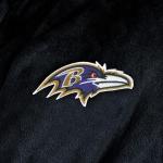 Northwest NFL Baltimore Ravens Unisex-Adult Silk Touch Bath Robe, Large/X-Large, Team Colors