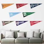 Ivy League Conference College Pennant Set