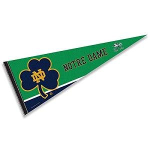 College Flags & Banners Co. Irish Irish Pennant Full Size Felt