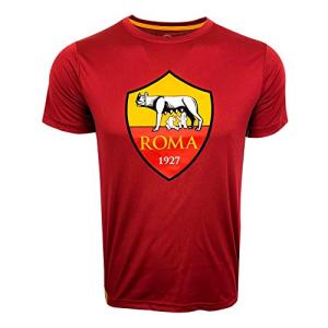 HKY Sports Roma Shirt, Kids Sizes, Licensed Roma Soccer T-Shirt (Youth Large 10-12 Years) Red