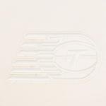 Pro Standard MENS WNBA Toronto Tempo NEUTRAL PULL OVER HOODIE EGGSHELL 2XL