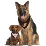 Pets First ORL-3217-L-XL MLB Baltimore Orioles Reversible Pet Bandana, Large/X-Large, MLB Team Color