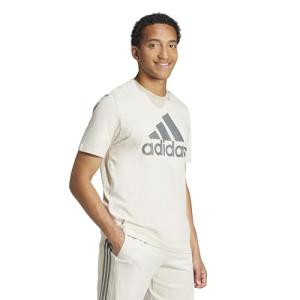 Adidas Men's Essentials Single Jersey Big Logo T-Shirt, Alumina/Grey, X-Large