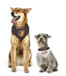 Pets First ORL-3217-L-XL MLB Baltimore Orioles Reversible Pet Bandana, Large/X-Large, MLB Team Color