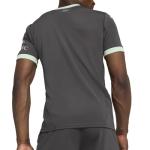 PUMA Men's Soccer AC Milan 24/25 Third Jersey - Official Team Branding, RE:Fibre Program, dryCELL Technology (US, Alpha, X-Large, Regular, Regular, Gray-Fresh Mint)