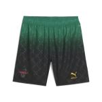 PUMA Mens Ac Milan X Off-White Authentic Mesh Athletic Shorts Casual Bottoms Casual Moisture Wicking - Black, Green - Size S
