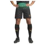 PUMA Mens Ac Milan X Off-White Authentic Mesh Athletic Shorts Casual Bottoms Casual Moisture Wicking - Black, Green - Size S