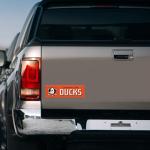 Rico Industries NHL Hockey Anaheim Ducks 4 x 10 Team Spirit Magnet - Car, Home Décor - Refrigerator, Office, Kitchen