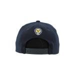 Nashville Predators NHL Officially Licensed Youth Adjustable Snapback Hat Flat Bill Z11 Icon Team Color