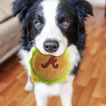 MLB Atlanta Braves Cheese Burger Plush Dog & CAT Squeak Toy - Cutest Stadium HAMBERGER Snack Plush Toy for Dogs & Cats with Inner Squeaker & Beautiful Baseball Team Name/Logo