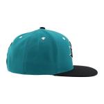 San Jose Sharks NHL Officially Licensed Adjustable Snapback Hat Flat Bill Z11 Icon Two Color