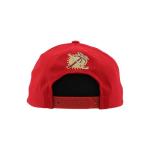 Florida Panthers NHL Officially Licensed Adjustable Snapback Hat Flat Bill Z11 Icon Team Color