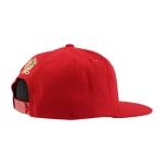 Florida Panthers NHL Officially Licensed Adjustable Snapback Hat Flat Bill Z11 Icon Team Color