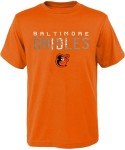 Outerstuff MLB Kids Youth 8-20 Team Color Polyester Performance Primary Logo Pullover Hoodie Sweatshirt and T-Shirt 2 Pack Combo Set - Baltimore Orioles Medium (10-12)