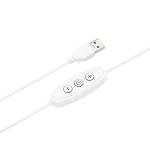 FOCO Los Angeles Chargers NFL Team Logo LED Neon Light Up Sign