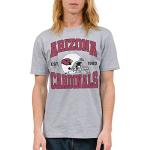 Junk Food NFL - Arizona Cardinals - Team Helmet - Officially Licensed Adult Short Sleeve Fan Tee for Men and Women