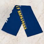 Northwest Nashville Predators NHL City Hockey Rally Towel 18 x 15 Inches