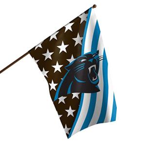 FOCO Carolina Panthers NFL Americana Vertical Flag