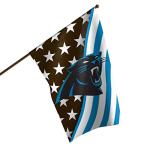 FOCO Carolina Panthers NFL Americana Vertical Flag
