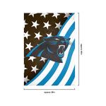 FOCO Carolina Panthers NFL Americana Vertical Flag