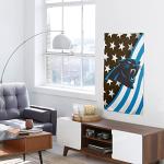 FOCO Carolina Panthers NFL Americana Vertical Flag