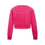 Pro Standard Big Girls WNBA Toronto Tempo Classic Triple Pink Crewneck Sweatshirt Beetroot Purple Xl