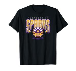 WNBA Los Angeles Sparks Nothing but Net T-Shirt